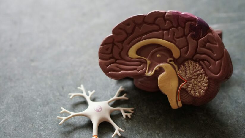 Person experiencing gout joint pain in hand — disability benefits for chronic gout